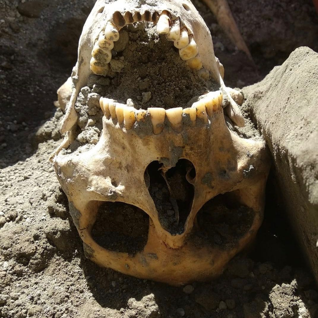 Illustration for article titled Skull of Crushed Pompeii Victim Found ‘Intact’